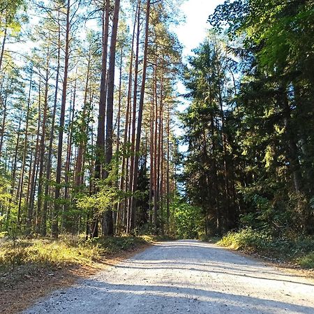 Mazurska Leśniczówka Nowy Zyzdrój Nowy Zyzdroj Exterior foto