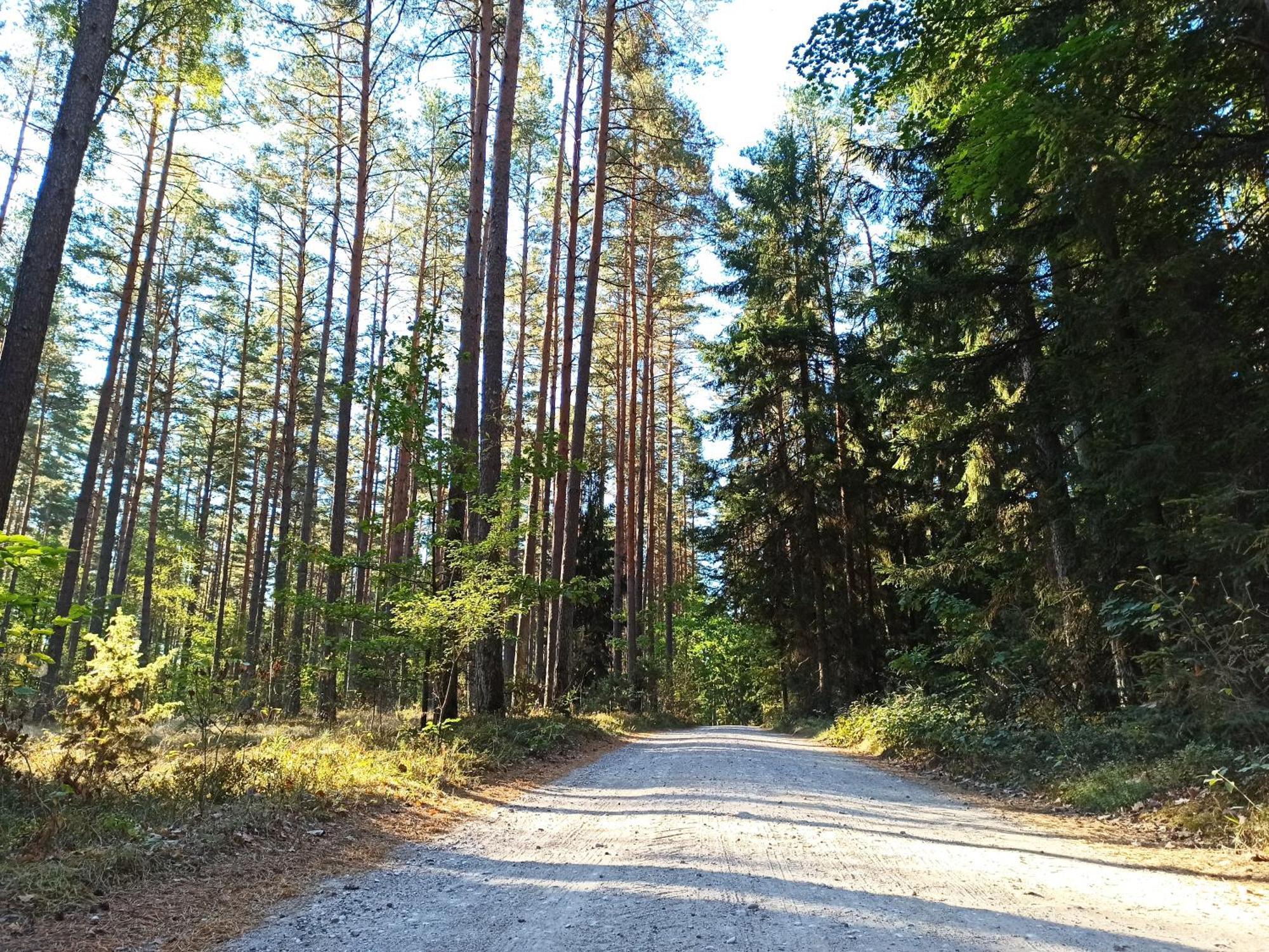 Mazurska Leśniczówka Nowy Zyzdrój Nowy Zyzdroj Exterior foto