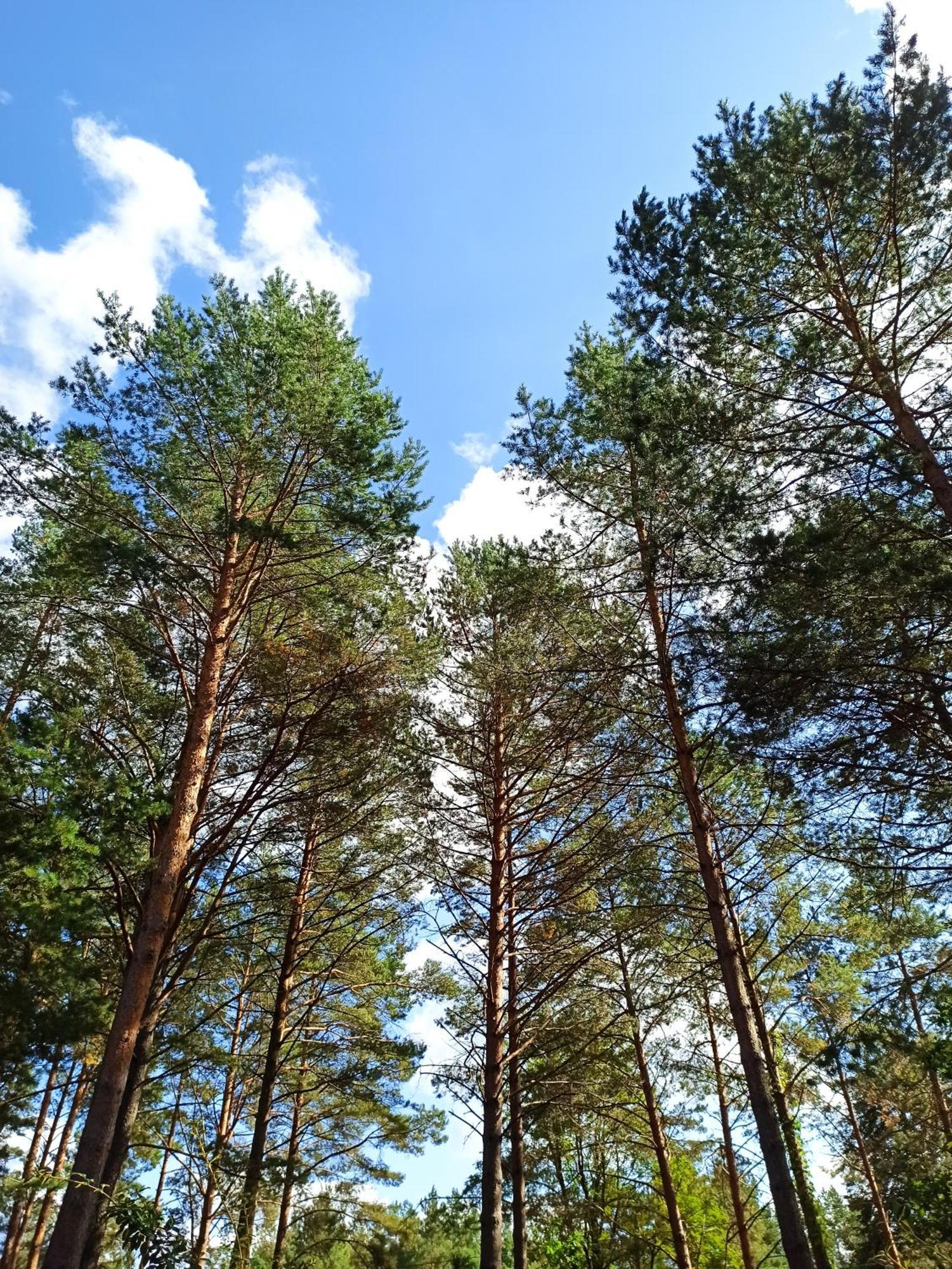 Mazurska Leśniczówka Nowy Zyzdrój Nowy Zyzdroj Exterior foto
